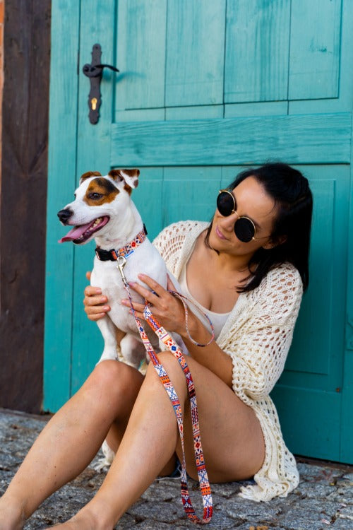 Quick Fastning Dog Collar - Boho